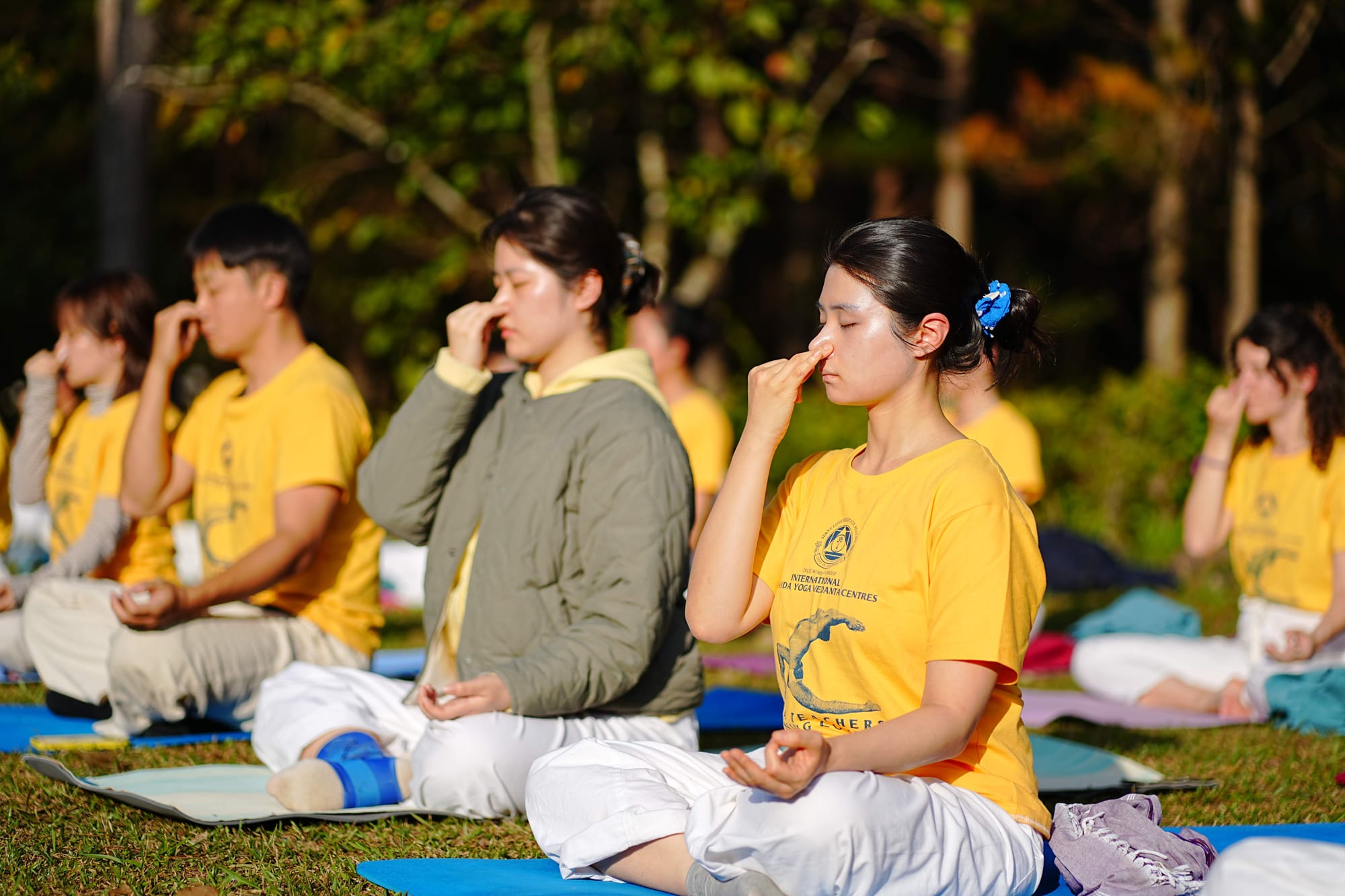 Pranayama — Kỹ Thuật Hít Thở Kiểu Yoga