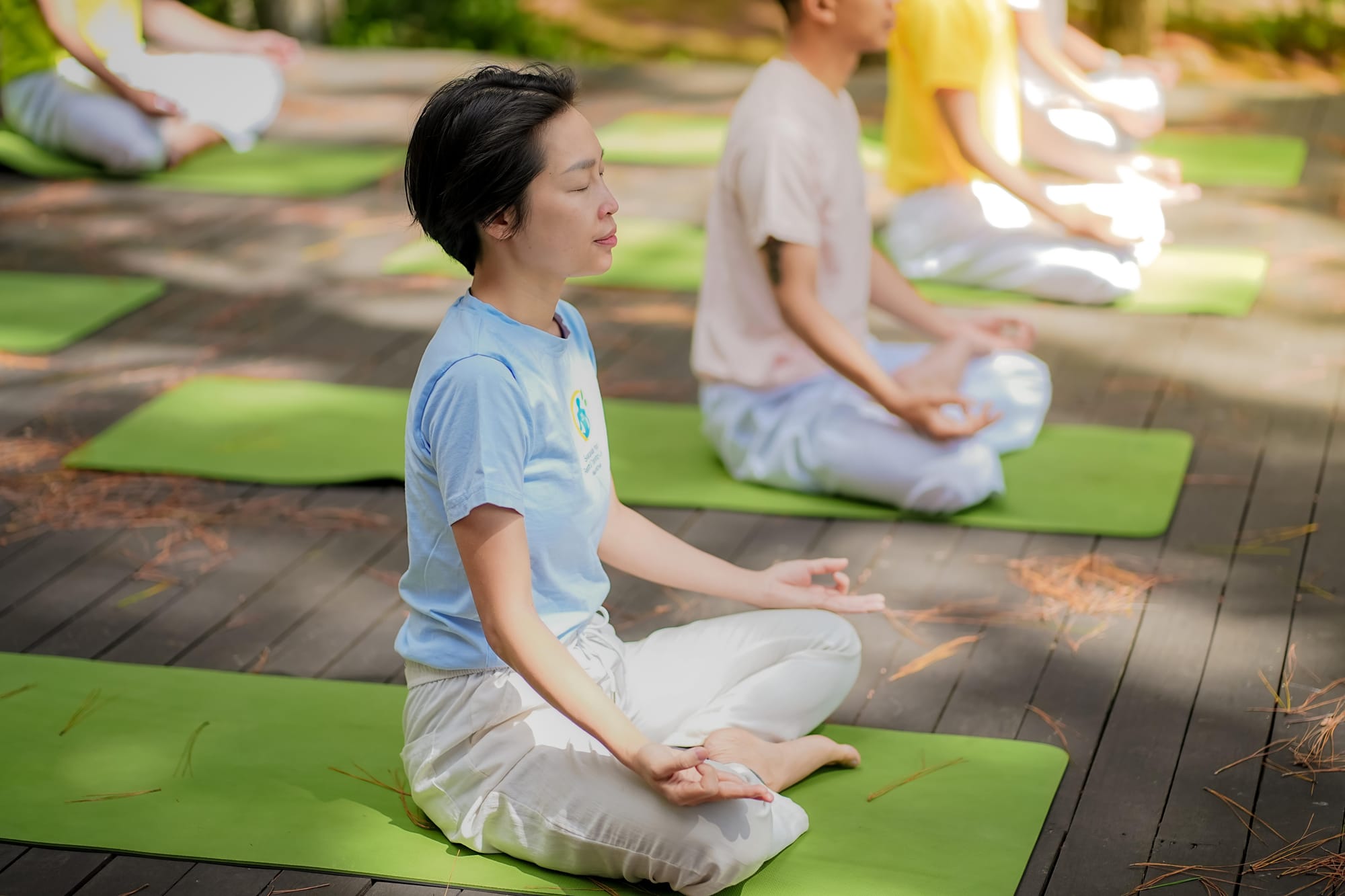 Morning meditation in the pine forest, Da Lat